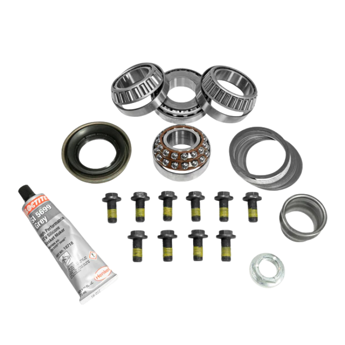 Dana 35