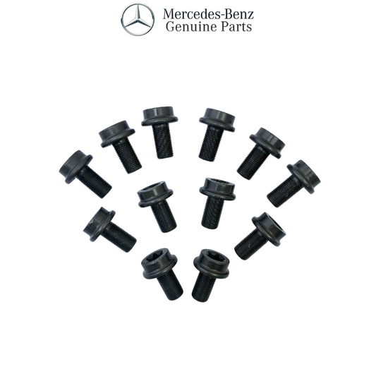 HAG215/C63 Ring/Crown Gear Bolt Kit - Pack of 12